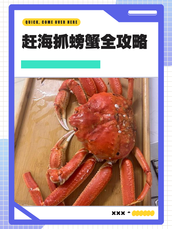 螃蟹回家攻略(螃蟹回家攻略大全)
