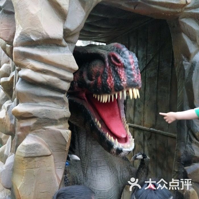 森林松鼠逃脱攻略(森林松鼠皮怎么获得)