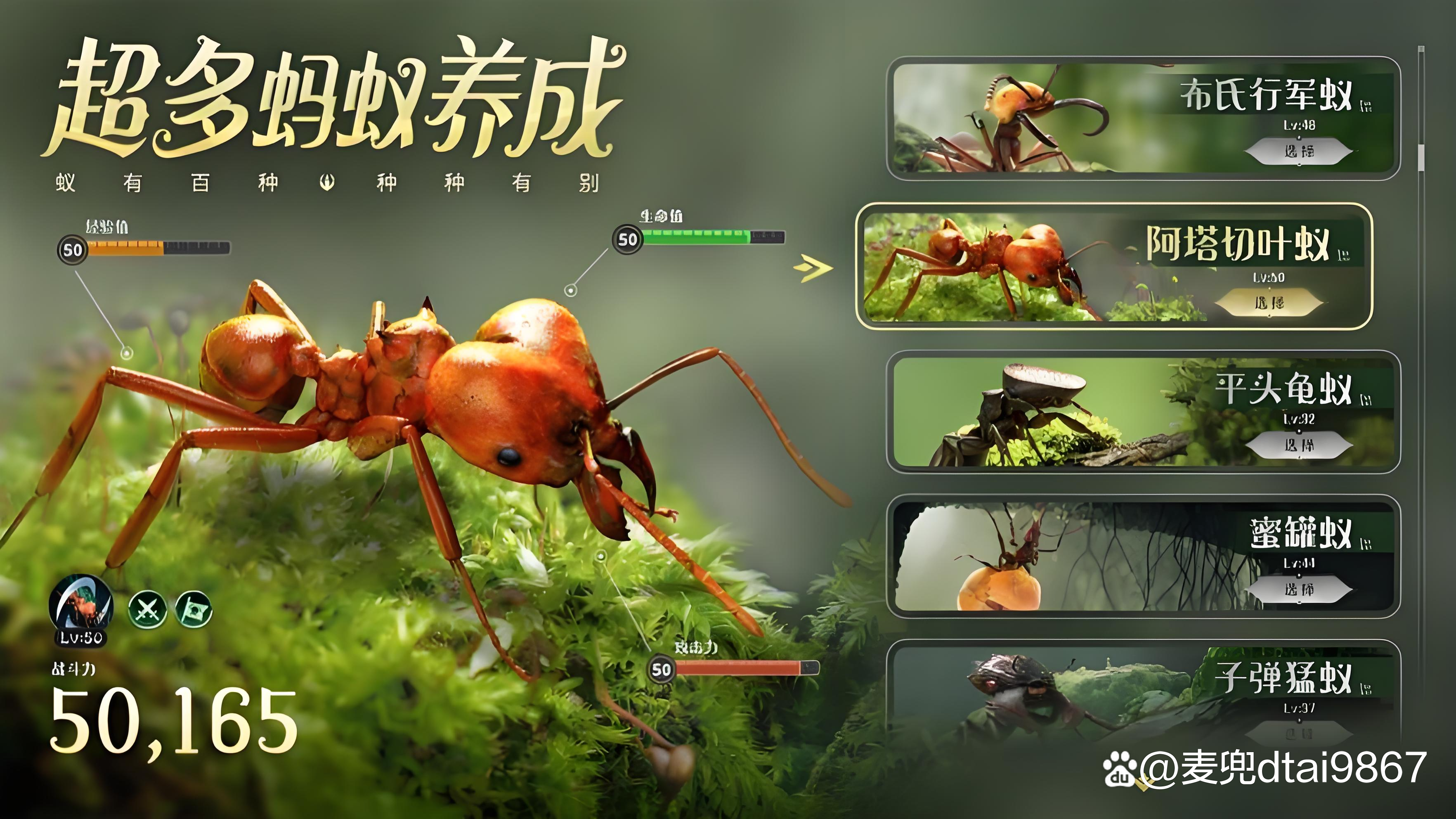 蚂蚁的王国类似游戏下载()