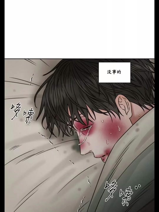 啵乐手机版本(啵乐最新版本是多少)