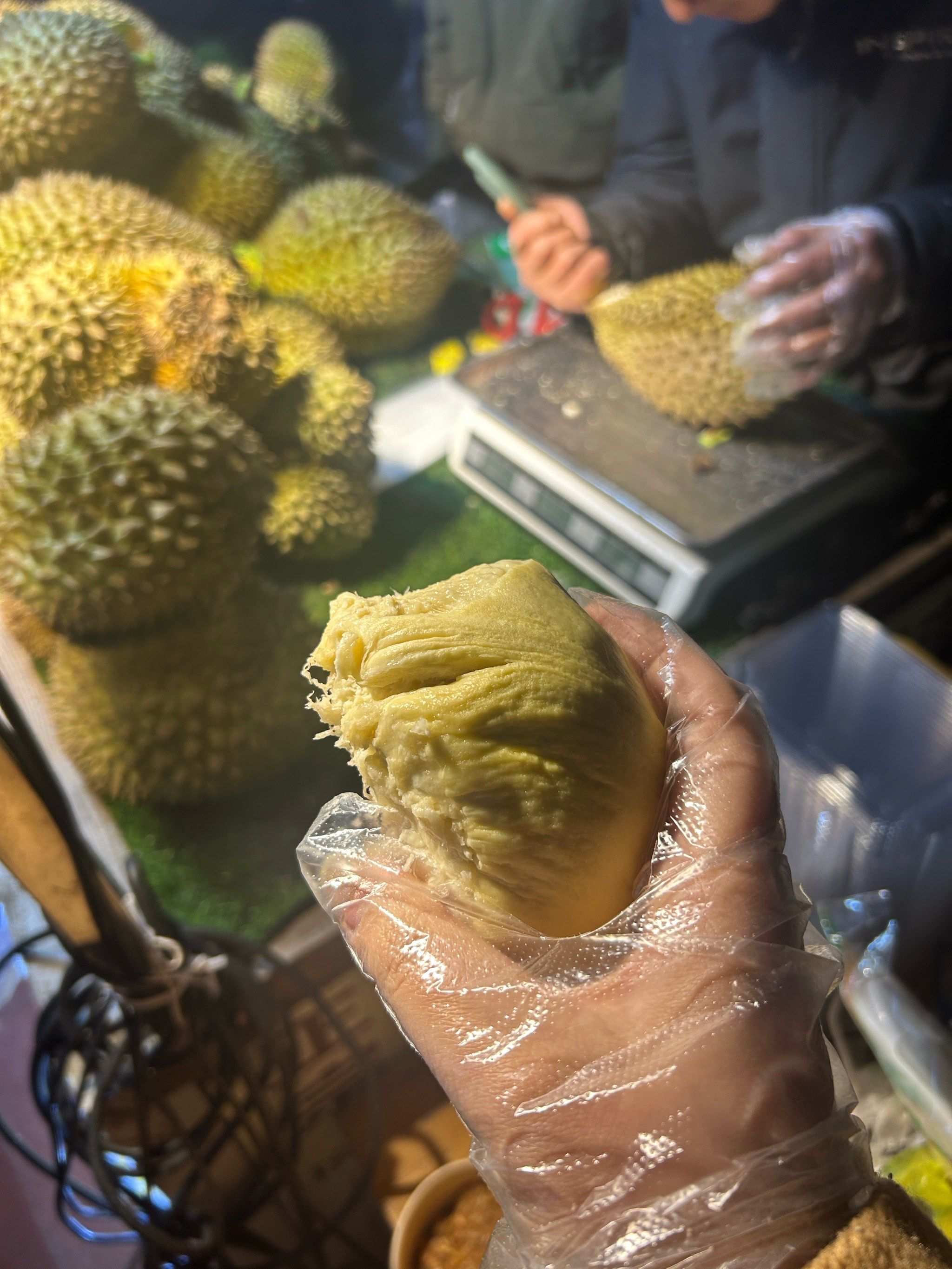 榴莲视频破解版无限(榴莲视频破解版无限次数观看)