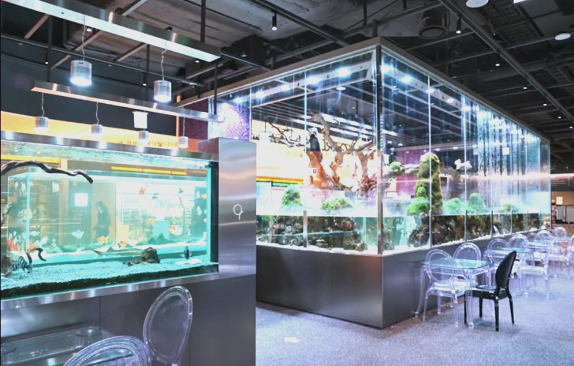梦幻水族馆对对碰(梦幻水族馆是什么软件)