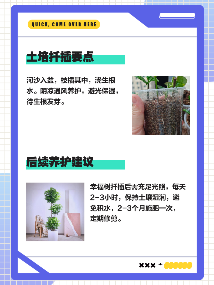 繁殖季节攻略怎么培养(繁殖季节安卓汉化乐游网)