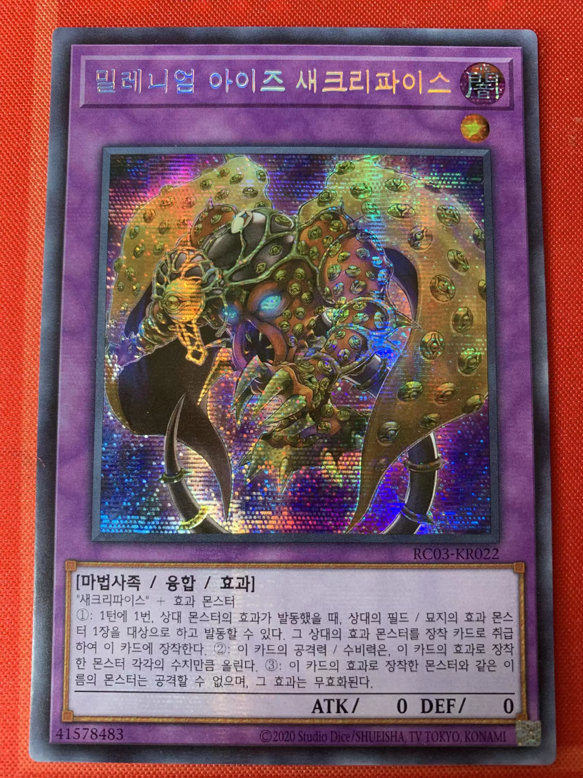 神弃之界破解版(神弃之地高清下载)