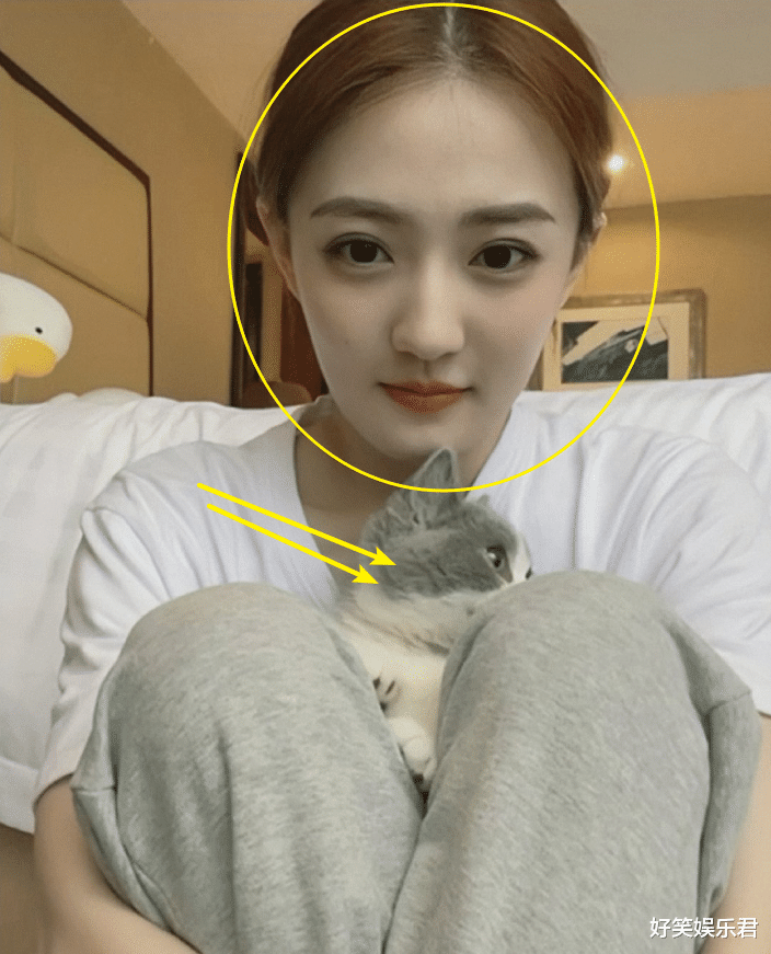 成版人猫咪直播破解版(猫咪 apk下载 直播)