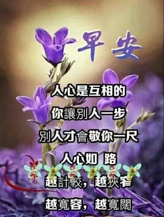 破解版游戏早安(破解版游戏早安图片)