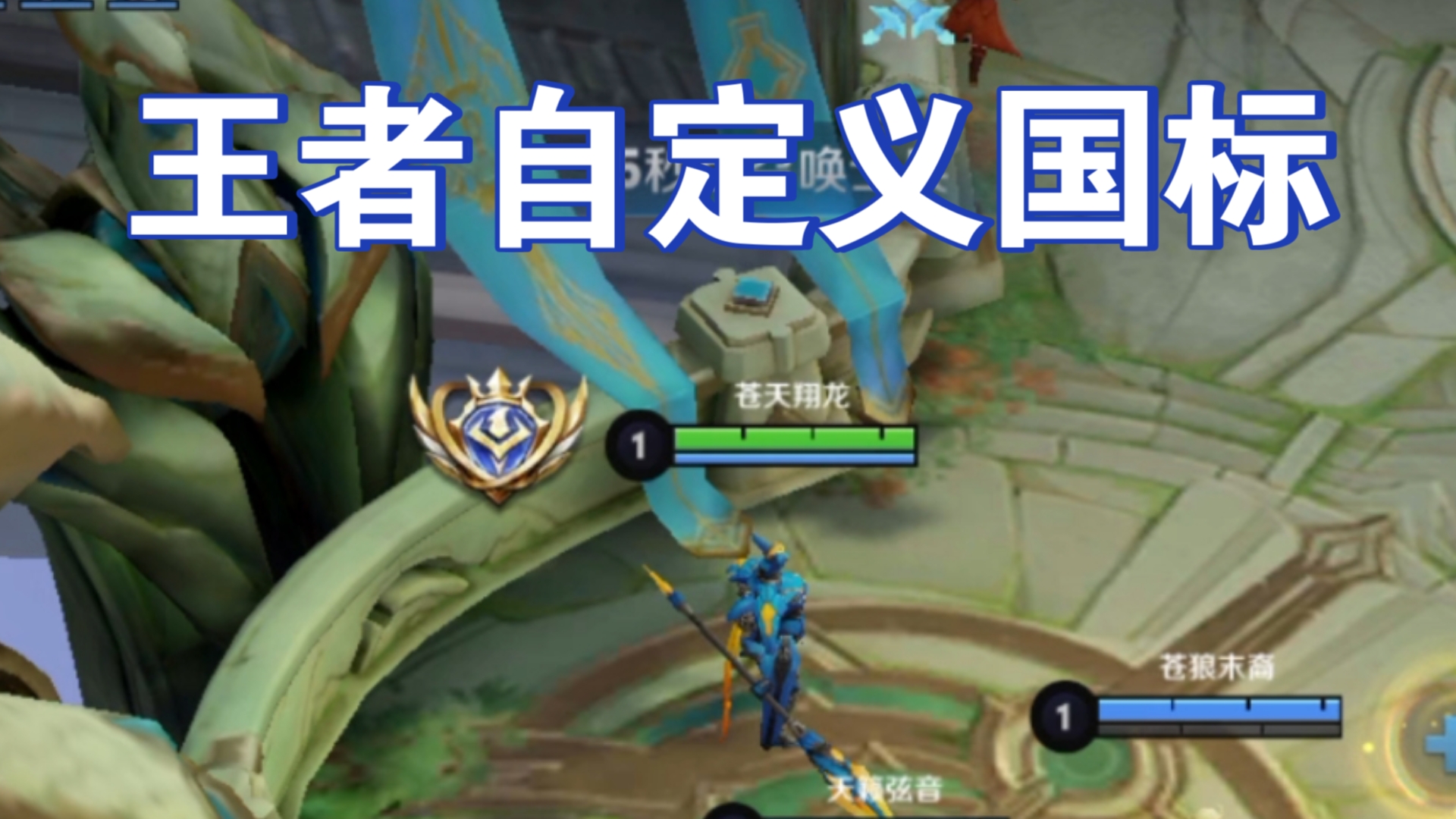 王王者荣耀国标(王者荣耀国标是什么样子)