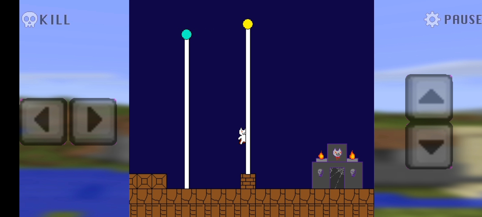 新猫里奥攻略(猫里奥攻略1到8图解)