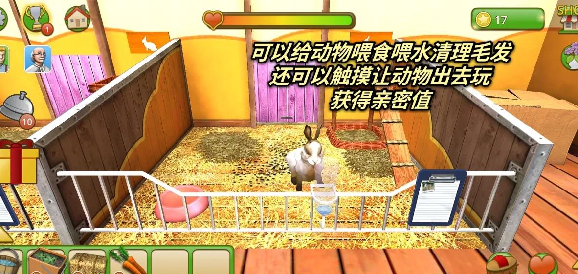 动物救援逃生攻略(动物救援逃生攻略图)