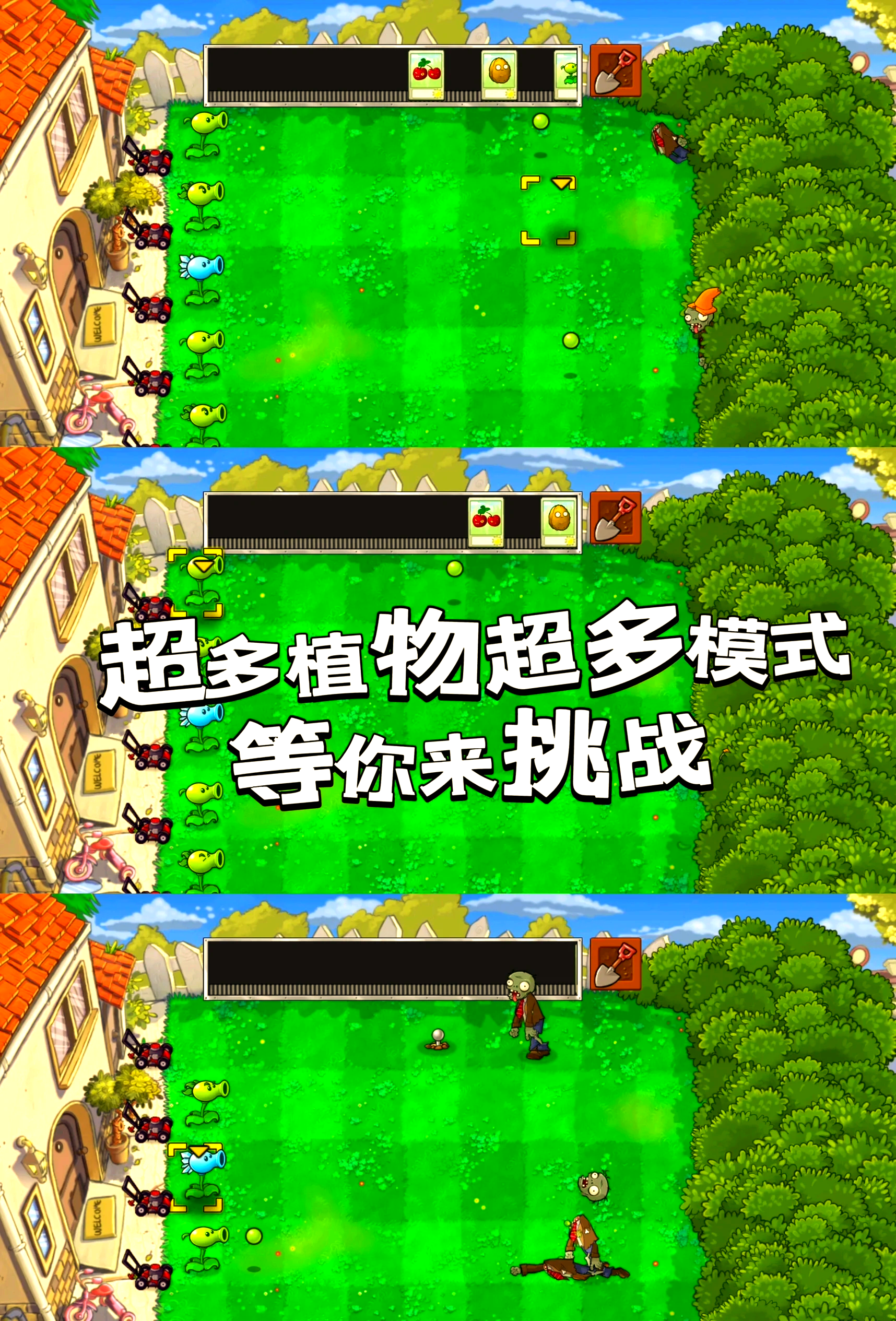 植物大战僵死攻略(杂交版植物大战僵尸攻略)