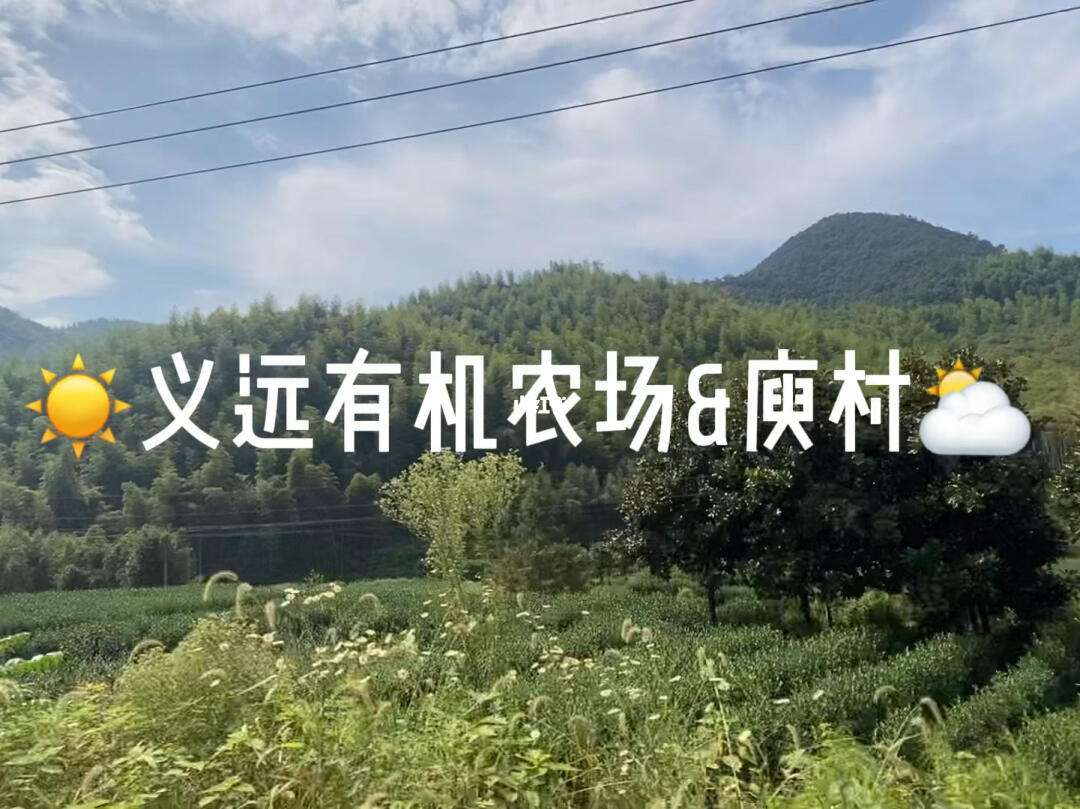 逃离农场1攻略(逃离农庄之家攻略)