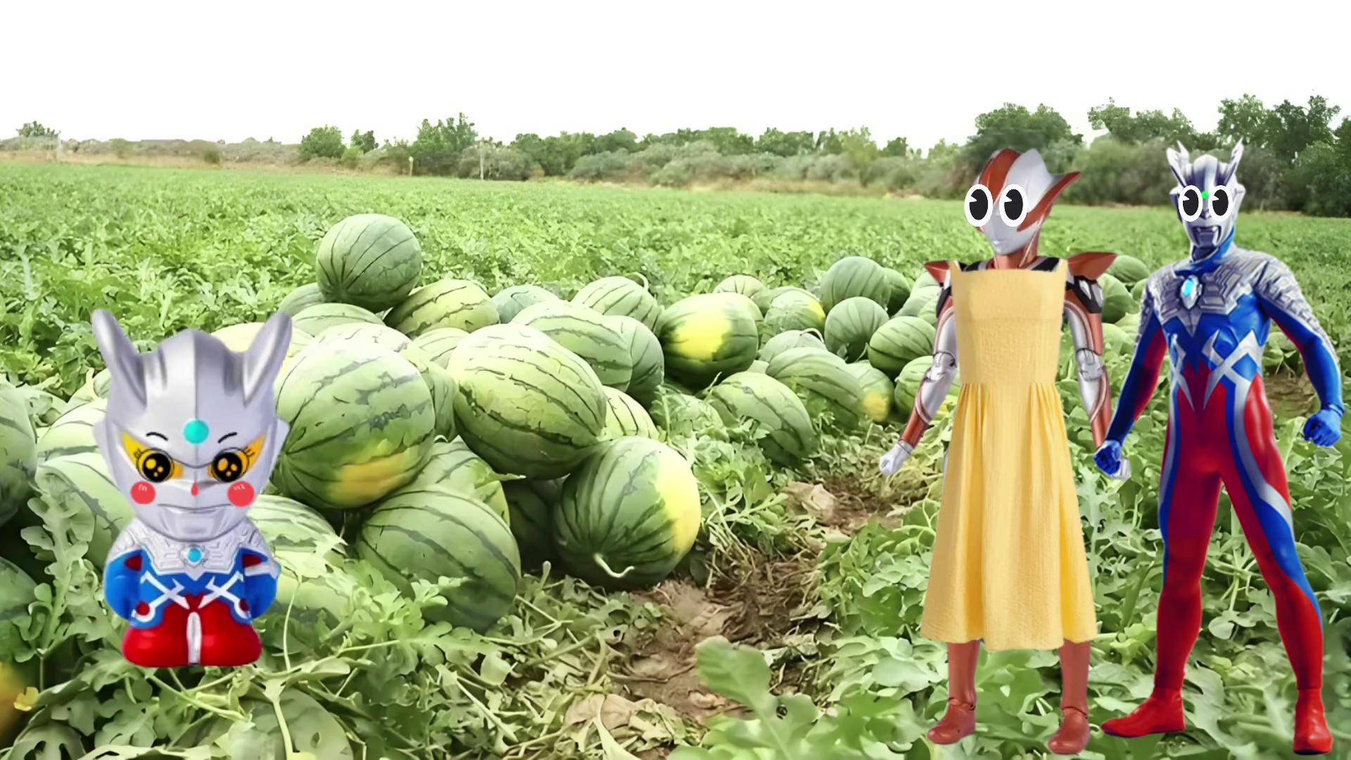 奥特曼切西瓜小游戏下载()