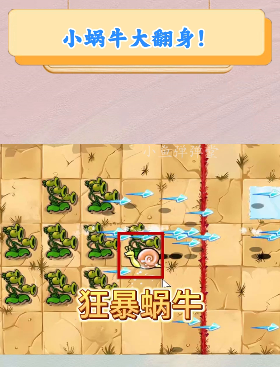 小蜗牛推箱子攻略(小蜗牛推箱子攻略视频)