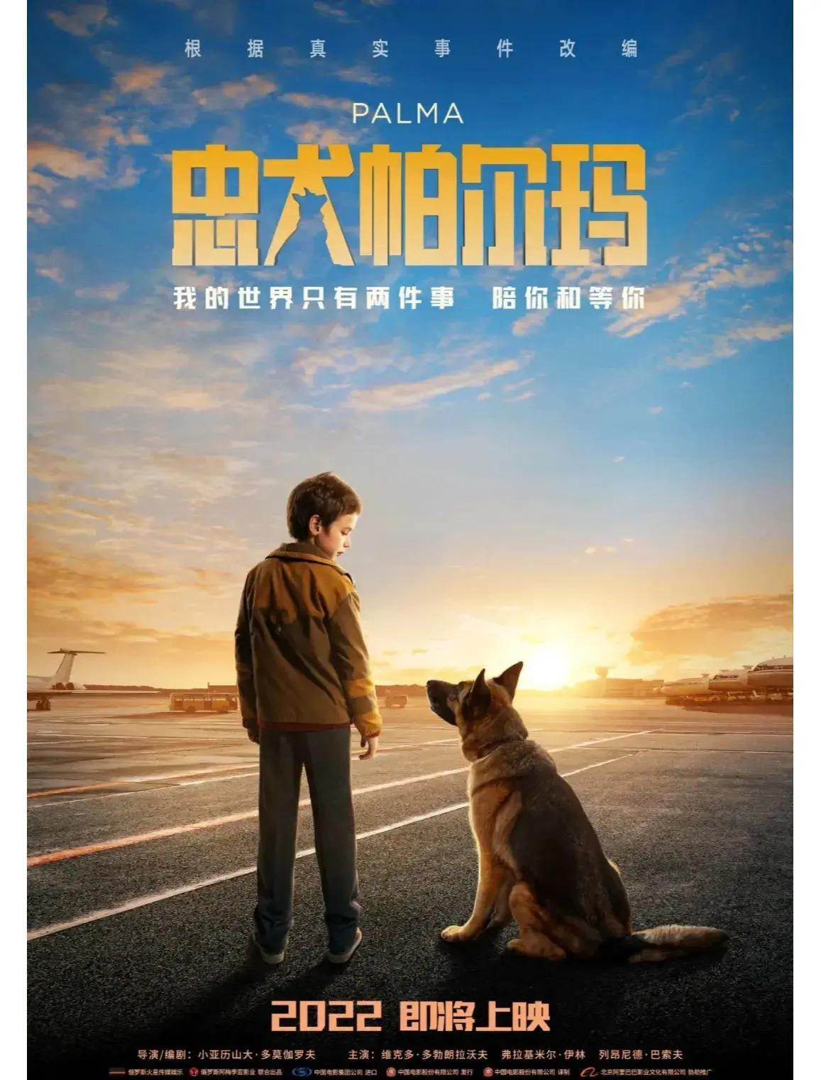 救援聪明的男孩攻略()
