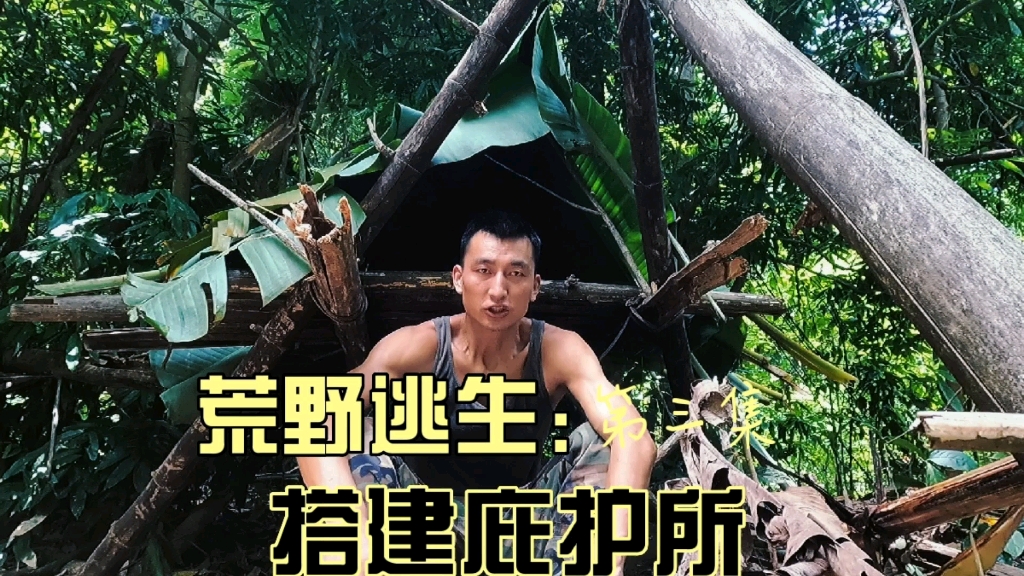 逃生庇护所游戏攻略(逃生庇护所游戏攻略大全)