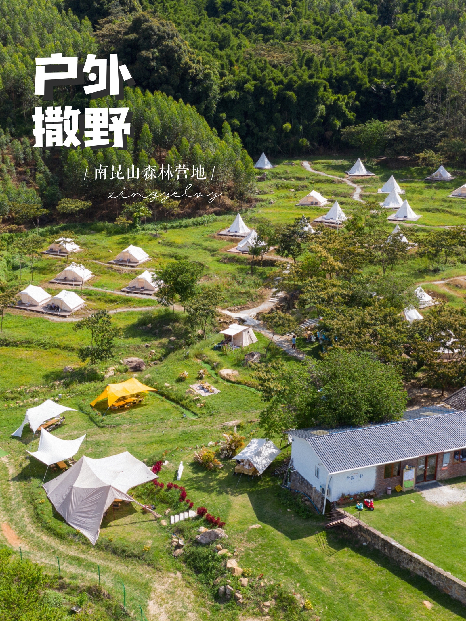 绿色森林逃离通关攻略(steam绿色森林攻略)