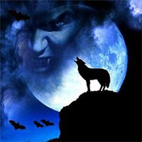 孤独之狼下载地址(孤独之狼的作品小说)