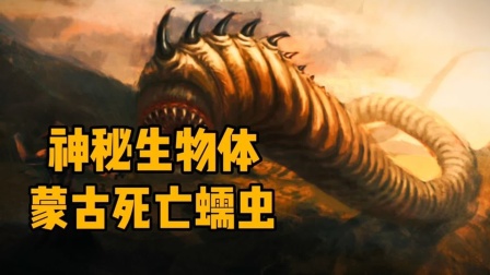 死亡蠕虫2破解版下载(死亡蠕虫最新版本破解版)