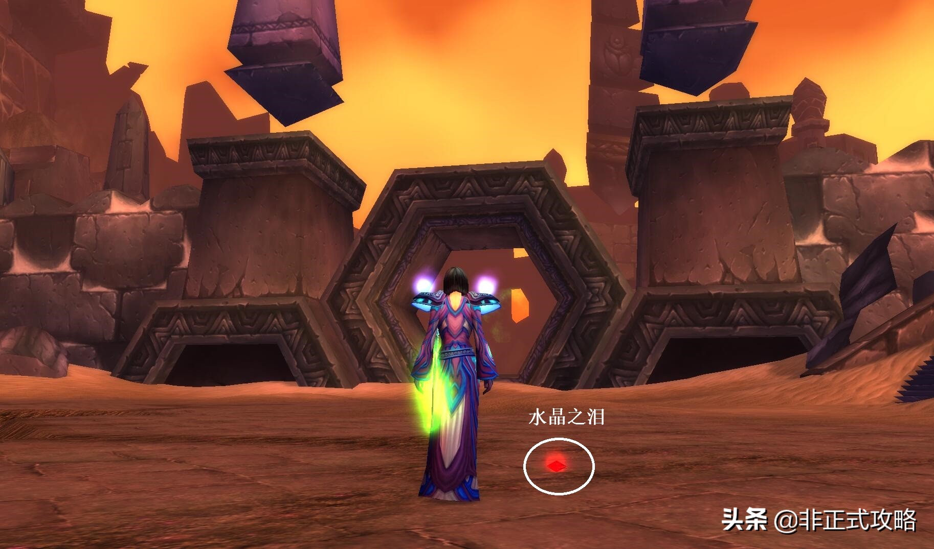 拯救甲虫攻略(拯救甲虫攻略大全)