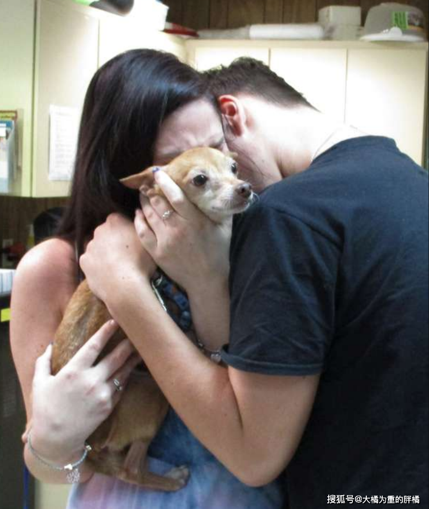 吉娃娃逃脱攻略(吉娃娃逃脱攻略图文)