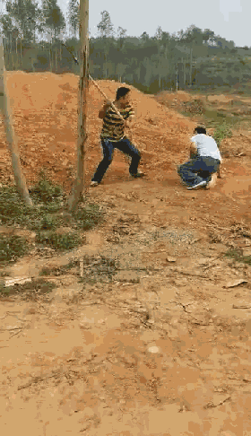 暴打盗贼破解版(whack暴打盗贼下载)