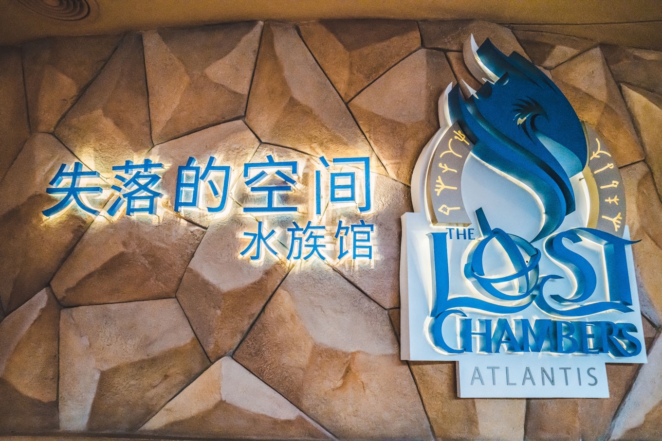 逃出失落海底攻略(逃出失落海底攻略大全)