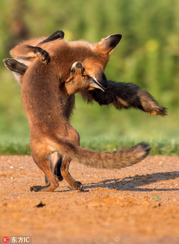 2025年11月4日 第3页