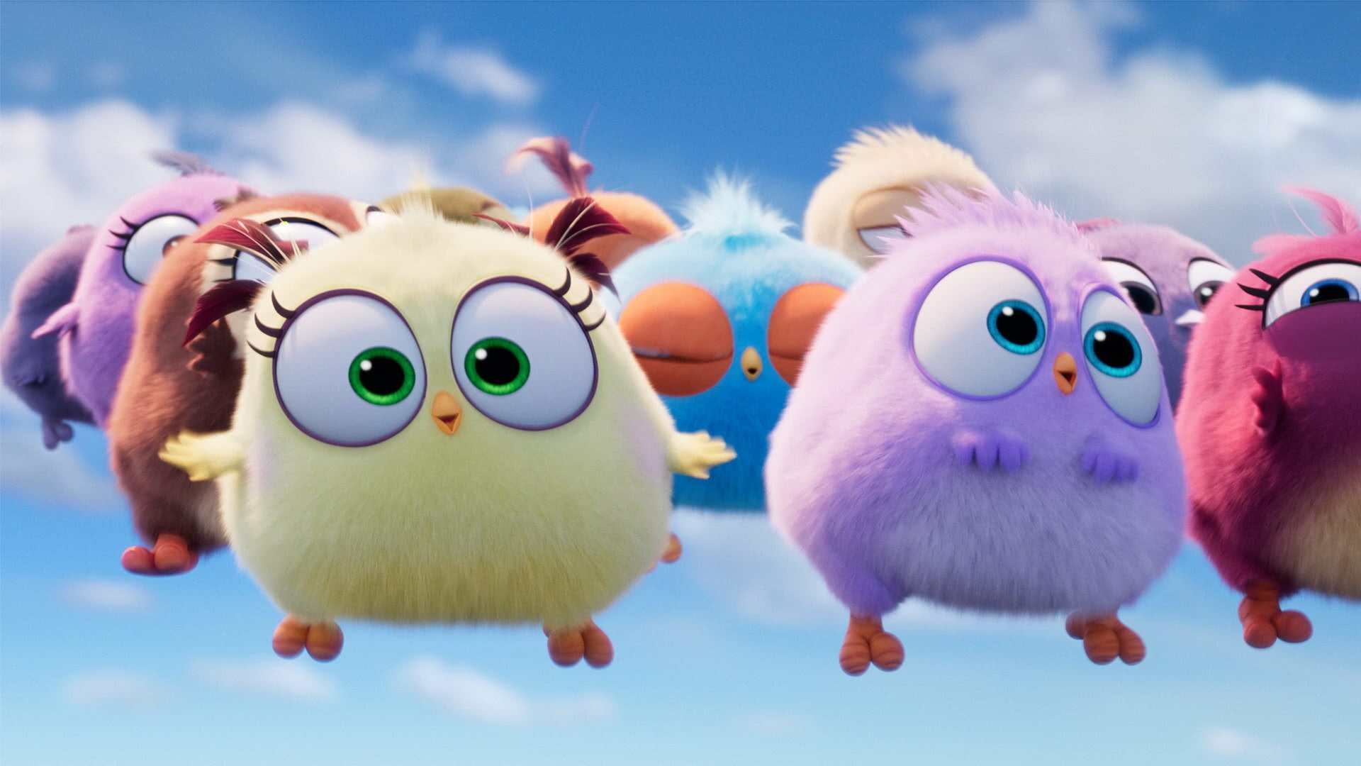 愤怒的小鸟三国(愤怒的小鸟3游戏)