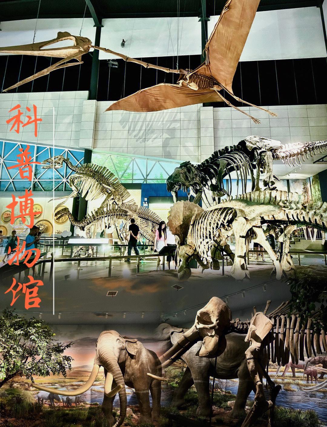 恐龙城市攻略(恐龙城门票多少钱)