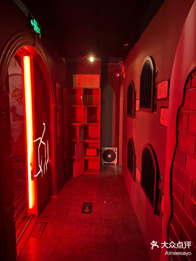 喵之家密室逃脱攻略(奥秘之家密室逃脱猫王国攻略)