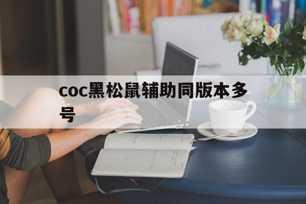 coc黑松鼠辅助同版本多号(黑松鼠coc辅助一天多少资源)