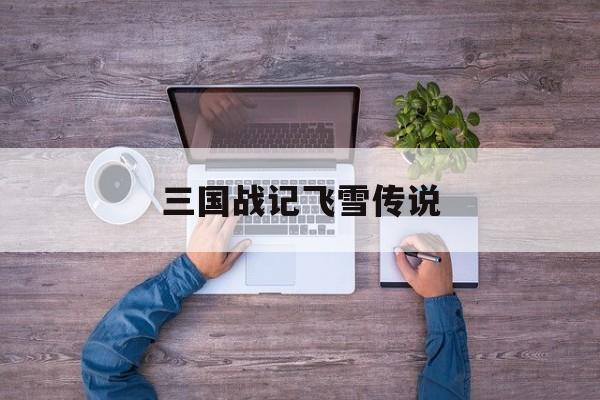 三国战记飞雪传说(三国战纪飞天雪个人资料)
